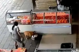 贵州一3岁女童遭黄狗扑倒撕咬受伤，父亲称狗有项圈主人至今没找到，警方回应图片