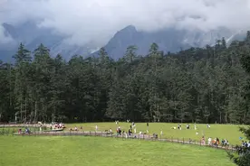 “清凉资源”变“热经济”：中国避暑旅居持续升温图片