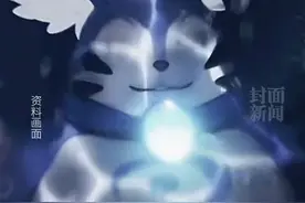 人民日报评胖猫事件：比流量重要的是真相，别成了流量的猎物图片