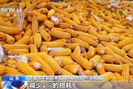 丰收后如何科学储粮？看看农户们的储粮“神器”图片