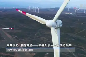 聚焦优势 集群发展——新疆新质生产力动能强劲图片