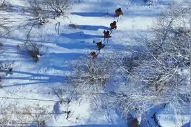 班组天地丨龙年到，看班组职工如何与“龙”共舞图片