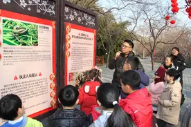 蛇年冷知识！北京爬行动物种类丰富，光蛇就有17种图片