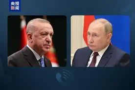 土耳其总统埃尔多安与俄罗斯总统普京通电话，讨论叙利亚局势图片