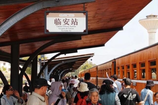 时速仅25公里！观光米轨小火车火了！