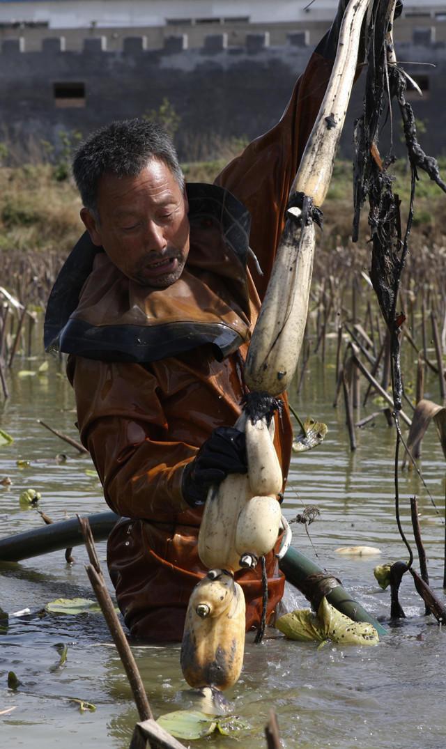 人文齐鲁|北园纪事