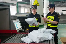 增长23.6%！港珠澳大桥珠海口岸一季度进出口规模创新高图片