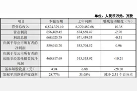 “非洲手机之王”传音控股业绩创新高背后：毛利率下行，四季度营收同比下滑图片