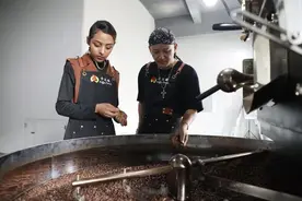 农业合作社模式复制到非洲，埃塞咖啡豆批量运抵成都烘焙图片