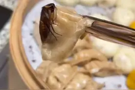 游客在长沙一酒店吃出蒸熟蟑螂，酒店称赔偿200元，当地市监部门介入图片