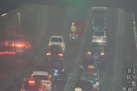 啥情况？暴雨倾盆，杭州快速路隧道内惊现金毛犬，后面跟着警用摩托图片
