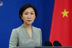 美高官称近期有大量中国移民赴美，外交部回应图片