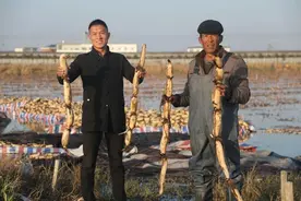 江苏灌云政策协同助力乡村振兴图片