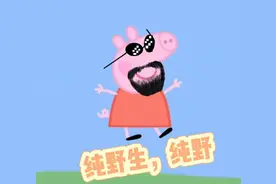 妈妈，我床边躺着只活的野生“佩奇”！图片