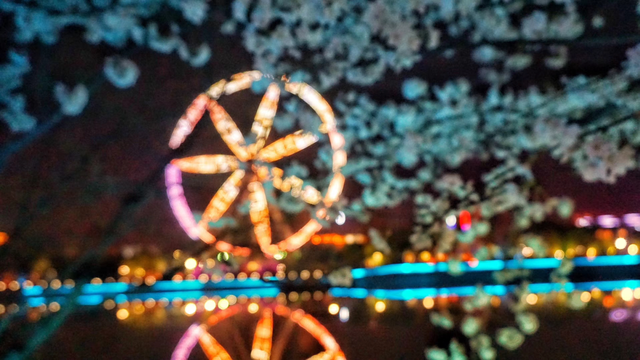 一不留神！湖州的樱花已经美成这样了