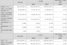 慧博云通：2023年上半年净利润3616.91万元 同比下降3.47%图片