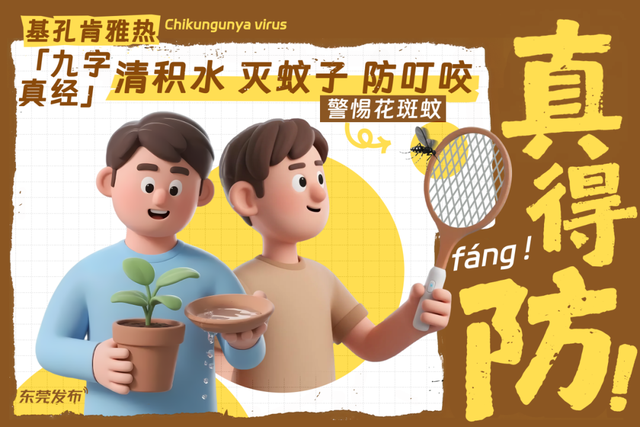 旅业场所如何防蚊灭蚊？指南来了→