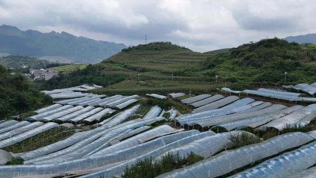 林口：水润民生兴百业