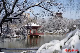 博览组图｜雪后晴天别样新！淄博初霁景色美如画！图片