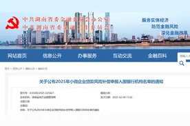 专访林德勇：提供有力金融动能 助力湖南民营企业登上更大舞台图片