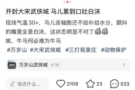 万岁山景区回应被指马儿累到吐白沫图片
