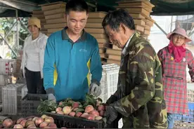 桐柏“朱砂红桃”搭上邮政快车抢“鲜”出村图片