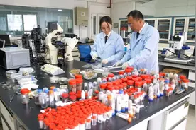 半两财经｜创全国海关单次截获外来物种数量之最 一旅客带430只甲虫回国当宠物被查图片