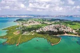 湛江霞山：以党建为引领 全域推进“百千万工程”图片