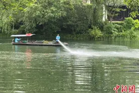 西湖洗湖引热议 景区回应：维护西湖美常规保洁操作图片