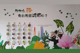 “楼里住着人，楼外住着貉”，上海首个以“貉”为主题的社区科普馆正式开放图片