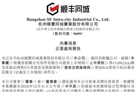 以 “独立之姿” 闯荡的顺丰同城，这6年过得如何？图片