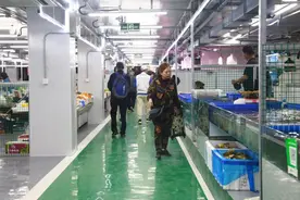 望京南湖中园地下菜市场重装开业图片