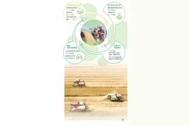 一粒小麦的“产业链之旅”图片