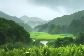 谷雨，春季最后一个节气，养生有“四要”！图片