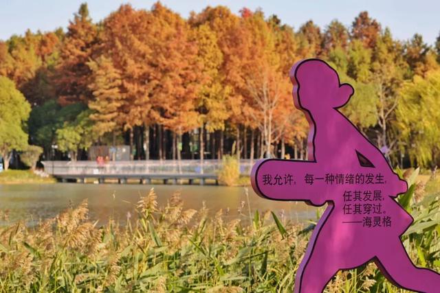 红的黄的绿的！天气这么好，来这些地方看看闵行的秋天吧~