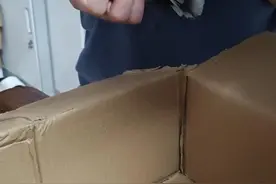 捡到野生受伤小鸟怎么办？这名大学生这样做→图片