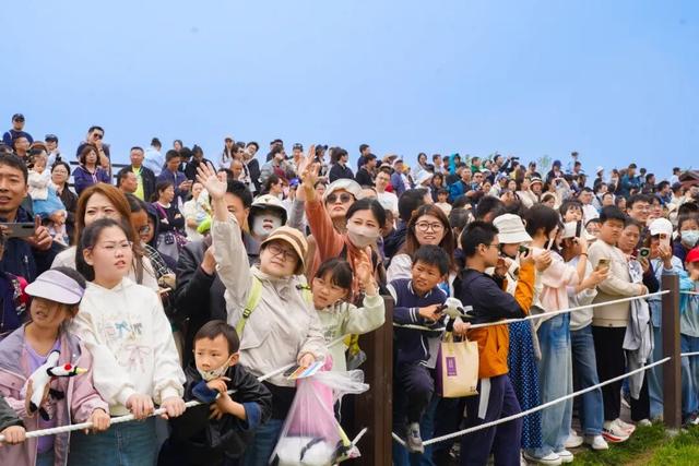 分身乏术！在盐城，5天根本玩不过来！