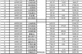 三季度中东主权基金大笔买入中国资产，沙特交易所迎来中国资产ETF图片