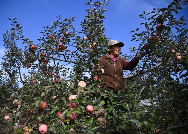 解码文化自信的城市样本｜榆林：黄土古韵起新歌