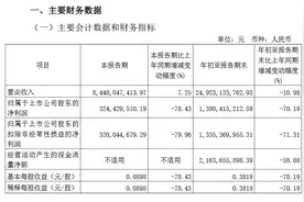 V观财报｜北方稀土第三季净利降78.43% 主要稀土产品售价下降图片