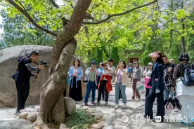全国11位网红旅游达人来打卡，“嗨拍崂山”给全网种草！图片