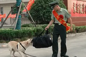 再见了“老战友”！退役武警官兵与军犬分离一刻让人泪目视频封面