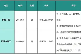 六险一金！鸿新新能源科技（云南）有限公司招人啦图片
