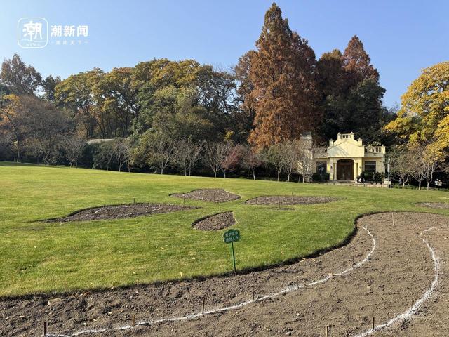 太子湾郁金香开种！新看点剧透，还有宠粉福利：同款种球免费送