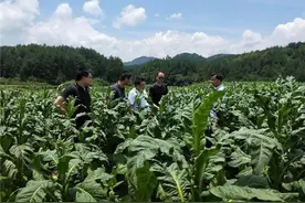 用汗水挥洒青春，用拼搏诠释梦想图片