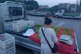 红星深度｜阳光玫瑰葡萄“十年史”：从每斤300元跌至10元3斤，为何跌跌不休？图片