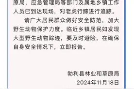 黑龙江勃利县老虎进村咬伤村民，官方正使用无人机红外仪等排查追踪图片
