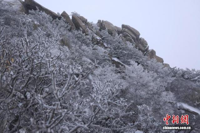 豫西落雪：白云山间银装素裹