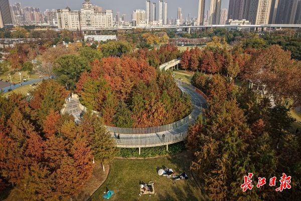 藏在公园里的浪漫栈道