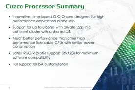 一颗RISC-V芯片，打破常规！图片